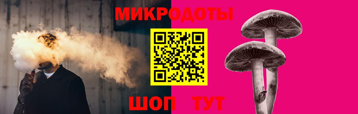 Псилоцибиновые грибы Cubensis Чусовой
